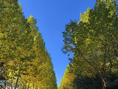 -石家庄市动物园