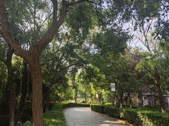 -西安汉城湖景区