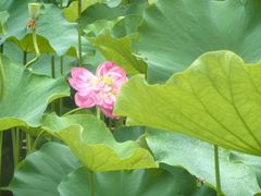 -沐仙湖湿地公园