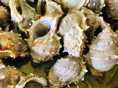 -南沙十九涌渔人码头-南门