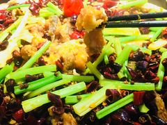 -老板恋上鱼(荣盛广场店)