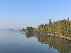 -长广溪湿地公园