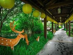 -杭州第一世界大酒店·云曼温泉