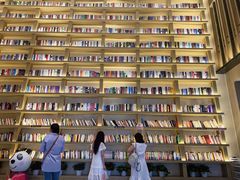-深影国际影城(学院南路店CGS中国巨幕店)