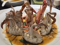 倒笃梭子蟹-浙C老邻舍(西城海错店)