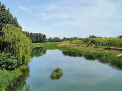 -东郊湿地公园