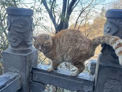 -终南山南五台景区