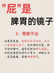 -玛莲朵·海菲秀冰珀科