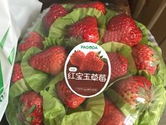 -百果园PAGODA(应元路店)