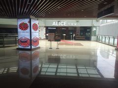 -爱丽丝牛排西餐厅(光谷步行街店)