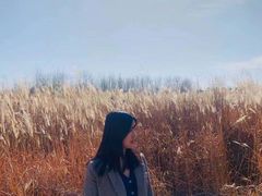 -南京枫彩漫城