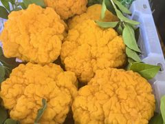 -菌粹源野生菌(木水花市场店)
