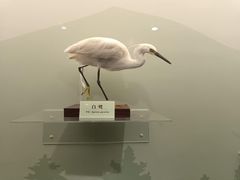 -陕西自然博物馆