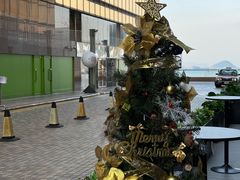 -香港皇家太平洋酒店