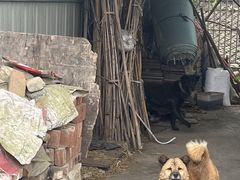 -渝都天星老街豆花