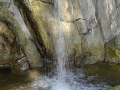 -九龙公园