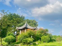 -海珠湖公园