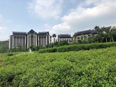 -清远熹乐谷温泉度假酒店