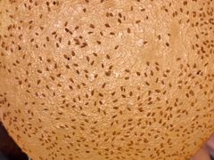-吴越荣记苏州菜·松鼠桂鱼100%活鱼现做(斜塘老街店)