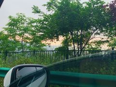 -梦幻奥陶纪景区