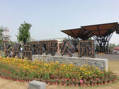 -上海长兴岛郊野公园