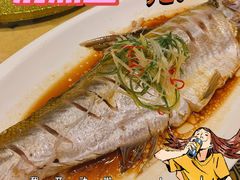 清蒸白鱼-苏城小院·园林精致苏州菜(斜塘老街店)
