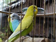 -鱼桥巷·美学川菜