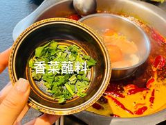 -胖碗火锅(观音桥店)