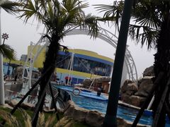 -芜湖新华联大白鲸海洋公园