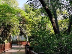 -金鸡岭桥头公园