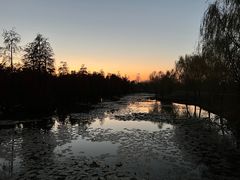 -池杉湖湿地公园