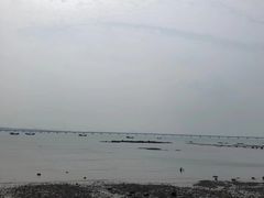 -八大关景区