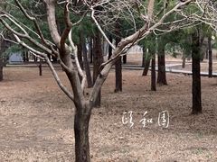 -颐和园