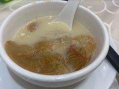 鸡煲特大鲍翅-凤城礼记鱼翅海鲜酒家(新马路总店)