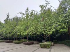 -重庆彩云湖湿地公园