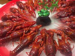 -乔街深夜食堂·台州菜·高压锅生蚝(杭州总店)
