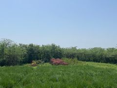 -盘龙城国家考古遗址公园