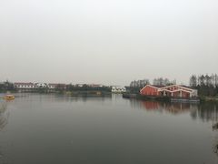 -上海长兴岛郊野公园