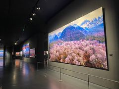 -罗红摄影艺术馆