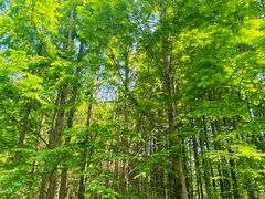 -桤木河湿地公园