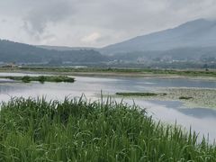 -腾冲北海湿地