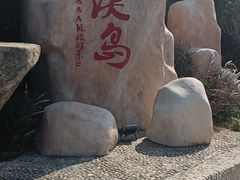 -东澳岛