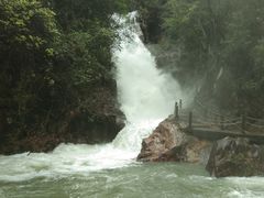 -九龙江国家森林公园