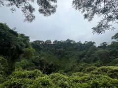 -海口火山口国家地质公园