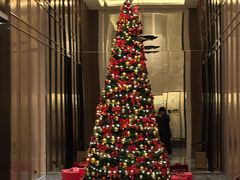 -济南凯宾斯基酒店-THE VIEW云景全日制餐厅