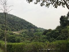 -火炉山森林公园