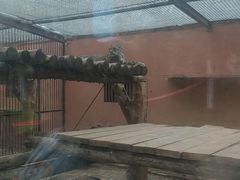 -青藏高原野生动物园
