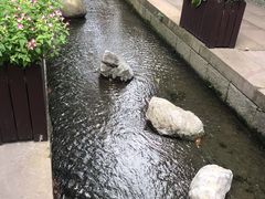 -猫的天空之城概念书店(杭州南宋御街店)