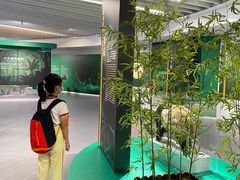 -中国湿地博物馆