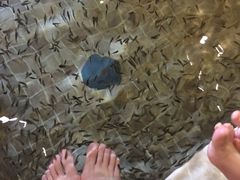 -中家鑫园温泉酒店鑫悦汤泉